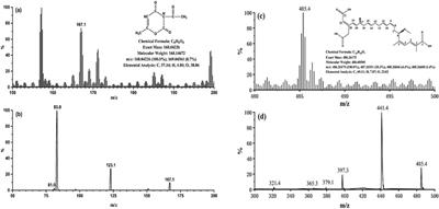 Establishment and evaluation of a UPLC-MS/MS method for simultaneous determination of bongkrekic acid and dehydroacetic acid in rice noodles